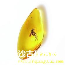 琥珀成收藏投资黑马 为何原石价格却下降