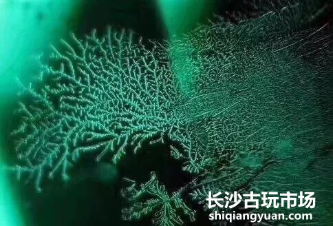 祖母绿中的“秘密花园”