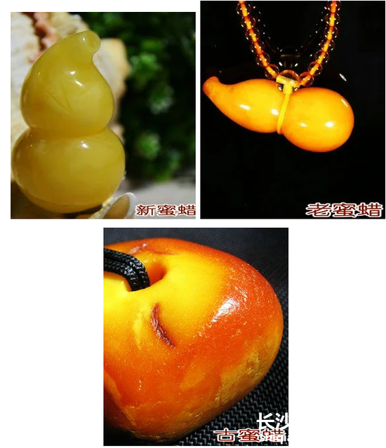 金绞蜜中的品种—珍珠蜜(通过优化所得)