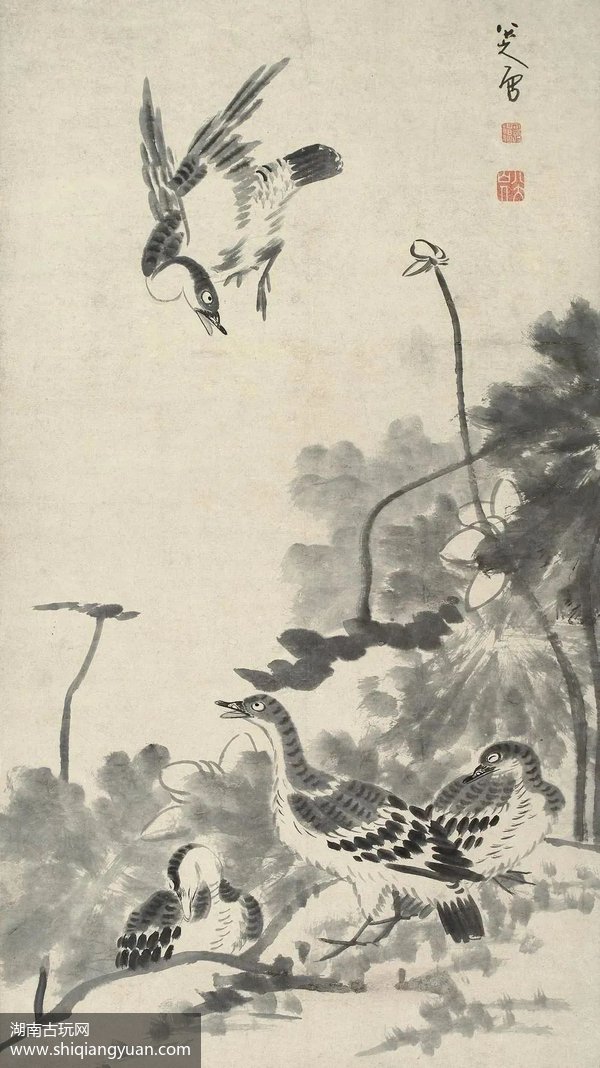 八大山人荷花小鸟图